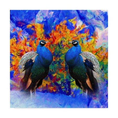 Trademark Fine Art Ata Alishahi 'Bird Collection 26' Canvas Art, 14x14 ALI22458-C1414GG